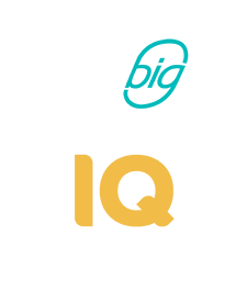 ThinkBig Networks is Becoming IQ Fiber